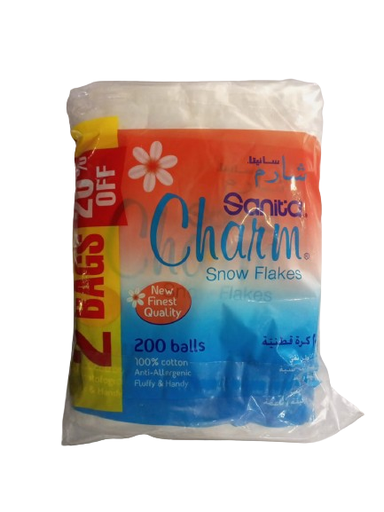 [6027] Charm 2Bags offer