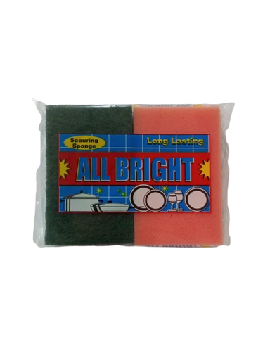 [15819] All Right sponge 2pcs