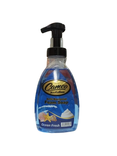 cameo foam soap ocean fresh 500ml