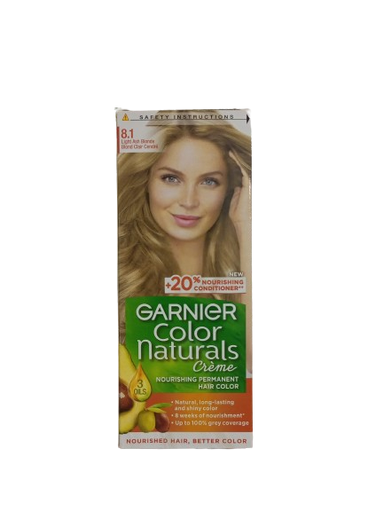 Garnier hair dye 8.1